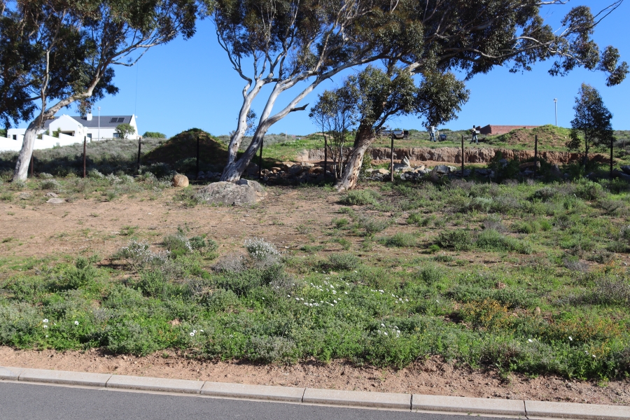 0 Bedroom Property for Sale in Steenbergs Cove Western Cape